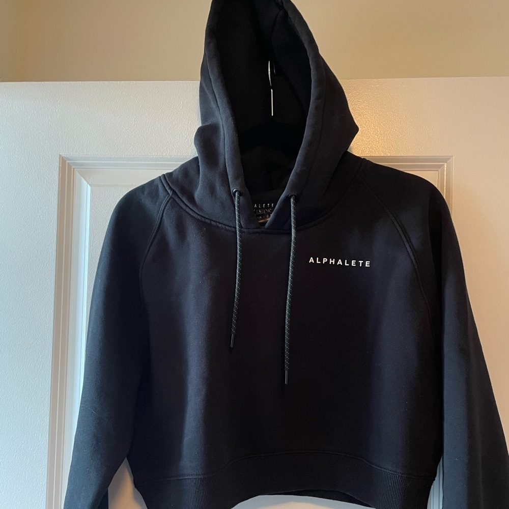 Alphalete crop hoodie